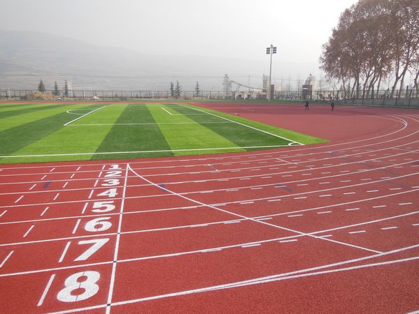 甘肃林业职业技术学院400米塑胶跑道铺设工程.jpg
